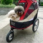 cochecito mascotas perros grandes