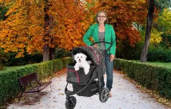 togfit-pet-roadster lujoso carrito para perros gatos