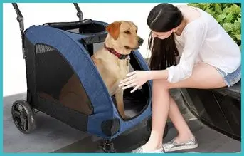 wooce carrito perro grande