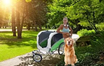 Papilioshop Argo Remolque Bici y Silla de Paseo para Perro