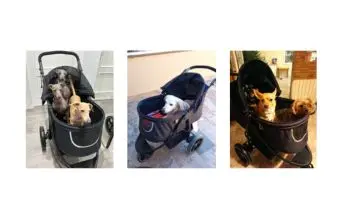 caracteristicas carricoche para perros my duque