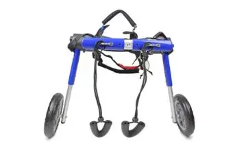 ortocanis la mejores silla para perros invalidos y discapacitados