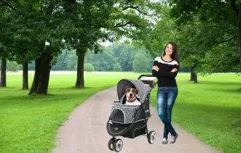 carrito para perros Innopet Buggy Allure Onyx