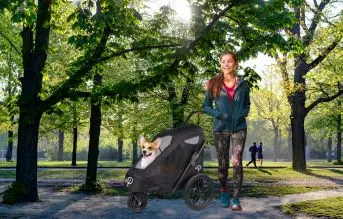 petique breeze pet stroller carrito para perros convertible en remolque de bicicleta