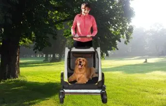 Bingopaw carrito para perros grandes