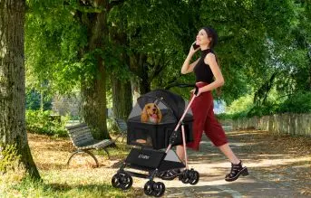 Lovpet carro para perros 2 en 1