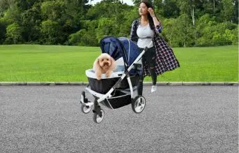 InnoPet Haustier Hunde-Tragetasche, Trolley, Trailer, Buggy Retro Aluminio Perros hasta 35 kg, Color Grey Lime, Verde Lima