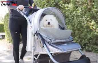 opiniones del innopet buggy comfort