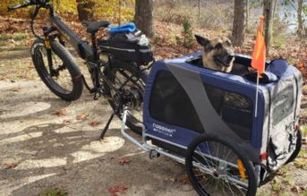 Doggyhut Premium XL 2 en 1 remolque de bicicleta para perros y carrito para perros grandes