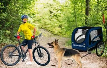 DURAMAXX King Rex - Carrito para Perros, Carro para Perros, Remolque para Bicicletas, Cochecito Perro, 250 litros, máx. 40 kg, Acoplamiento Fijo, neumáticos 16, Llantas Acero, banderín