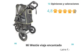 InnoPet Adventure