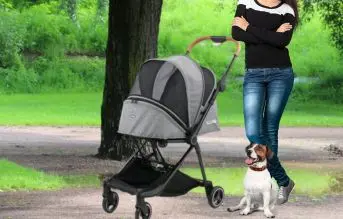 innopet buggy city cochecito para perros pequeños color gris