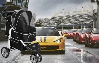 innopet monaco dog stroller carrito para perros pequeños y gatos