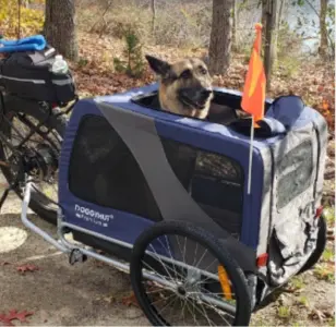 DOGGYHUT® Premium XL 2 en 1 - Remolque de bicicleta para perros, 23 - 45 kg, color gris