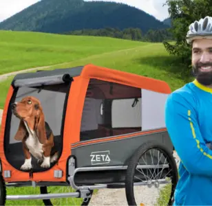 PAPILIOSHOP Zeta - Remolque para el transporte en bicicleta de tu perro, cochecito para mascotas en 3 tallas