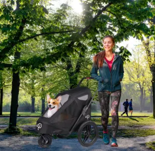 Petique Breeze Remolque para Bicicleta_con Basculador De Gran Tamaño _ Pliega Fácil con Una Mano _ Ruedas De Aire 1 Unidad 12400 g