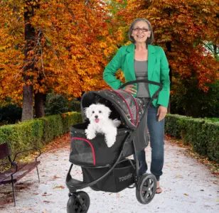 TOGfit Pet Roadster - Lujoso carrito para perros y mascotas hasta 32 kg, Ruedas grandes, altura regulable, incl. colchón, pequeño y plegable, color negro con puntitos