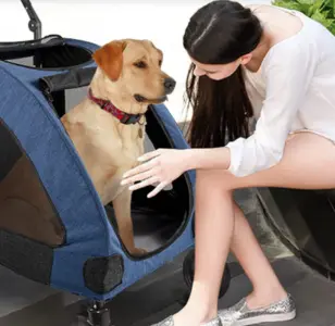 Wooce Pet Carrito de Cuatro Ruedas Trolley para Perros Carritos de Gatos Plegables para Perros Grandes medianos Salientes, Carga Dentro de 60 kg (Azul)
