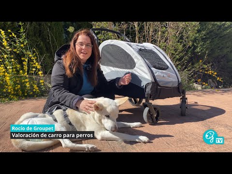 Carrito para perros - Valoración