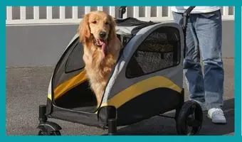 mejores carritos para perros grandes