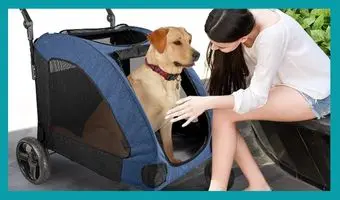 Carrito para perros Grandes Wooce