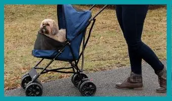 Pet Gear Travel Lite cochecito para perros pequeños