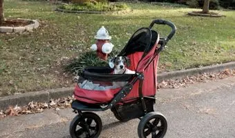 mejores carritos para perros pequeños