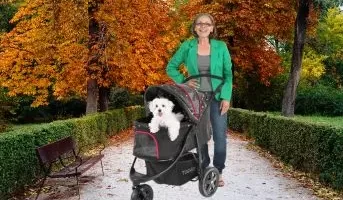 togfit-pet-roadster lujoso carrito para perros gatos