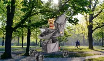 Ferplast Cochecito para perros pequeños GLOBETROTTER