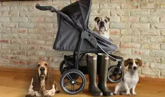carrito para perros y mascotas my Duque Cooper comprar opiniones precio oferta