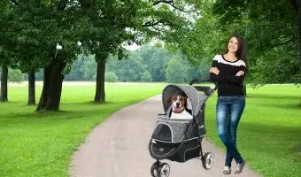 Innopet Buggy Allure Onyx carrito para perros