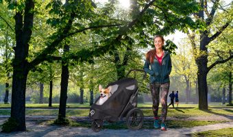 petique breeze carrito para perros convertible en bicicleta