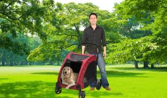 carritos para perros grandes catalogo, precio, ofertas