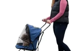 pet gear travel lite estandar mascota cochecito opiniones
