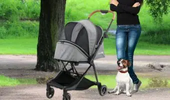 innopet city buggy cochecito de ciudad para perros pequeños