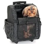 karlie smart trolley city