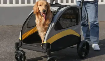 coches para perros medianos carritos para perros medianos