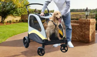 Carrito para perros medianos, fácil de usar