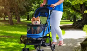 Carrito para perros pequeños en ciudad