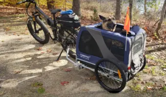 Carrito para perros grandes en el campo